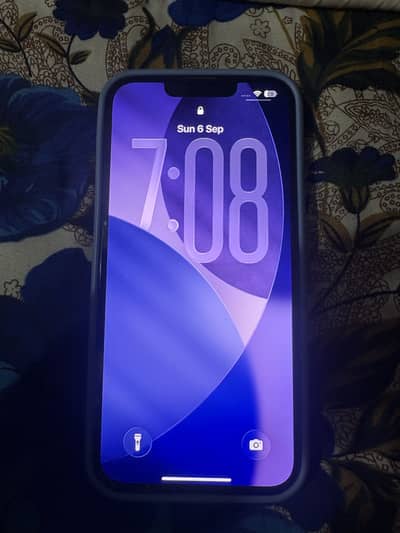 Apple iPhone 13 Pro