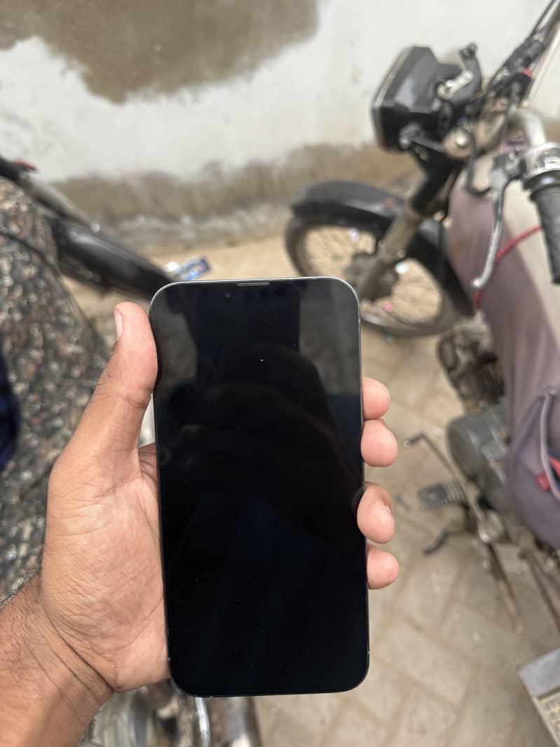 Apple iPhone 13 Pro Max 2