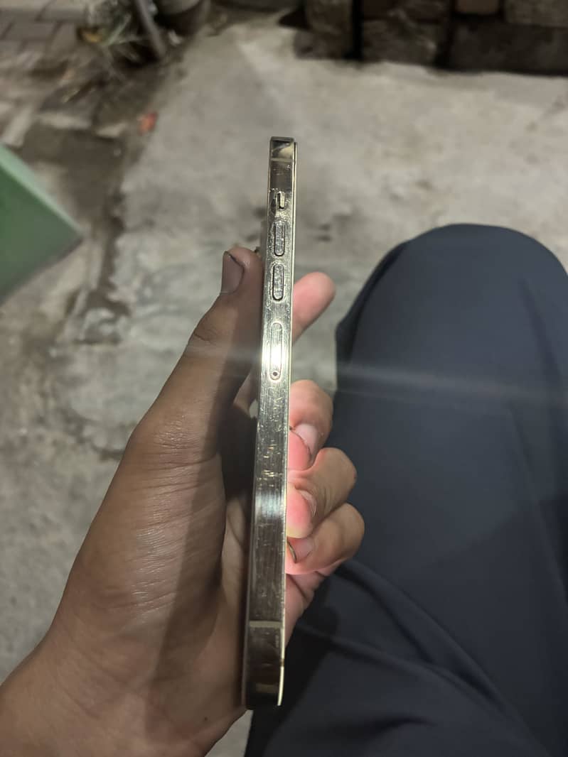 Apple iPhone 13 Pro Max 1