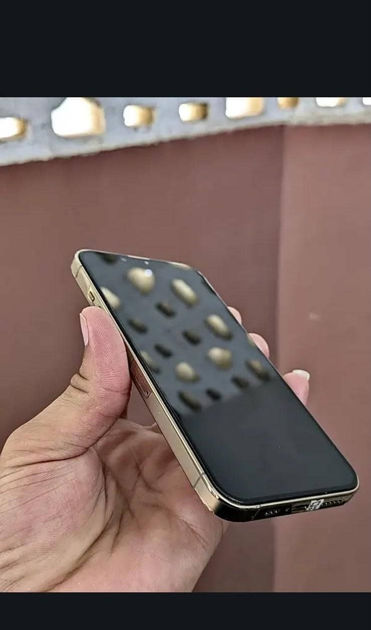 iphone 13 pro 1