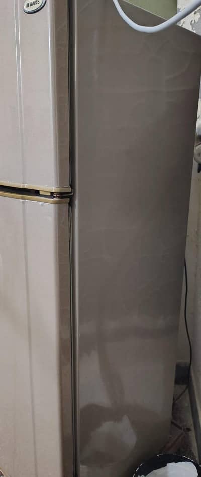 waves refrigerator