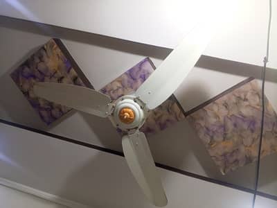 Celling fans for sell.
