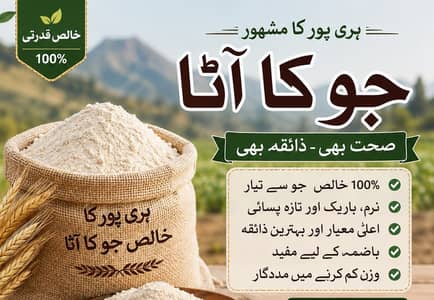 Barley Flour (Organic)