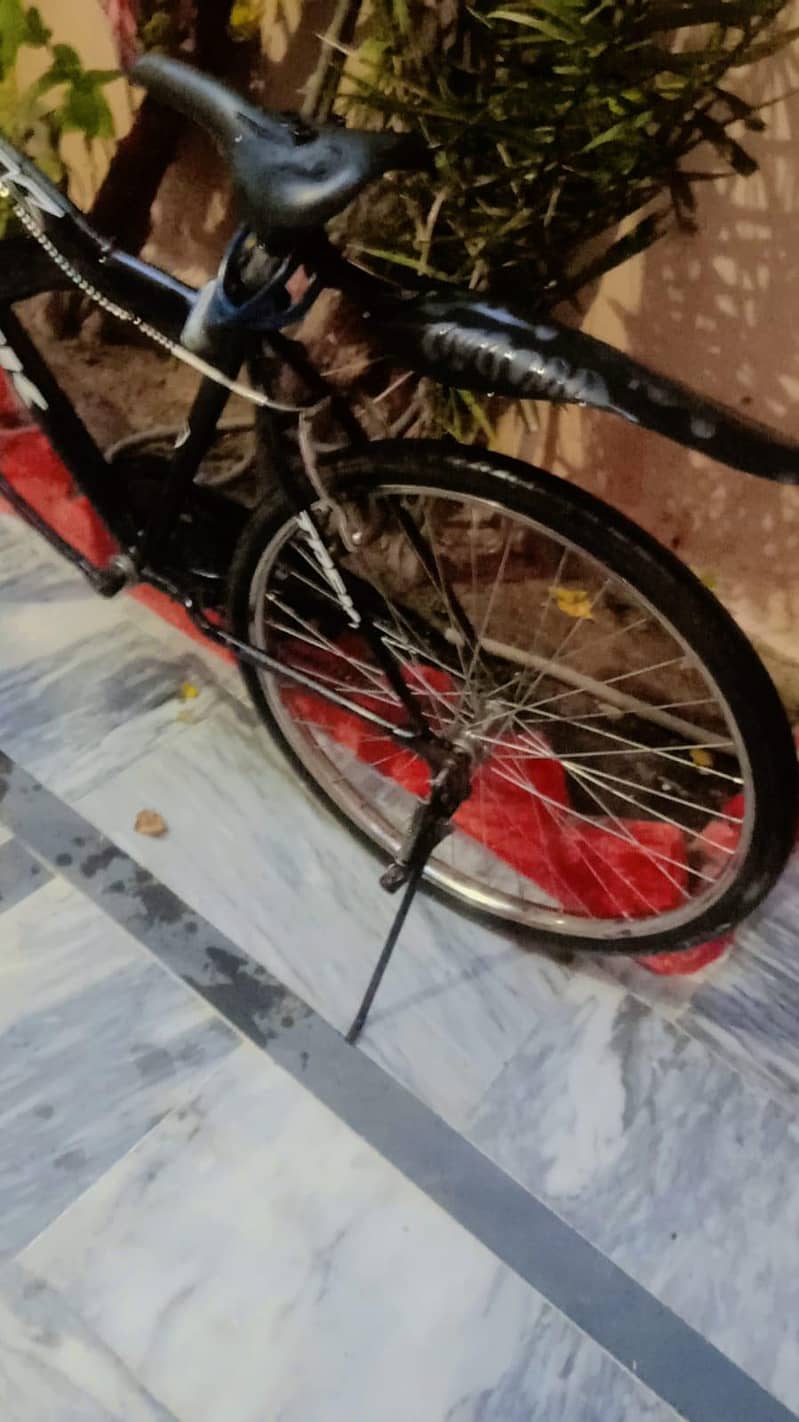bicycle 4