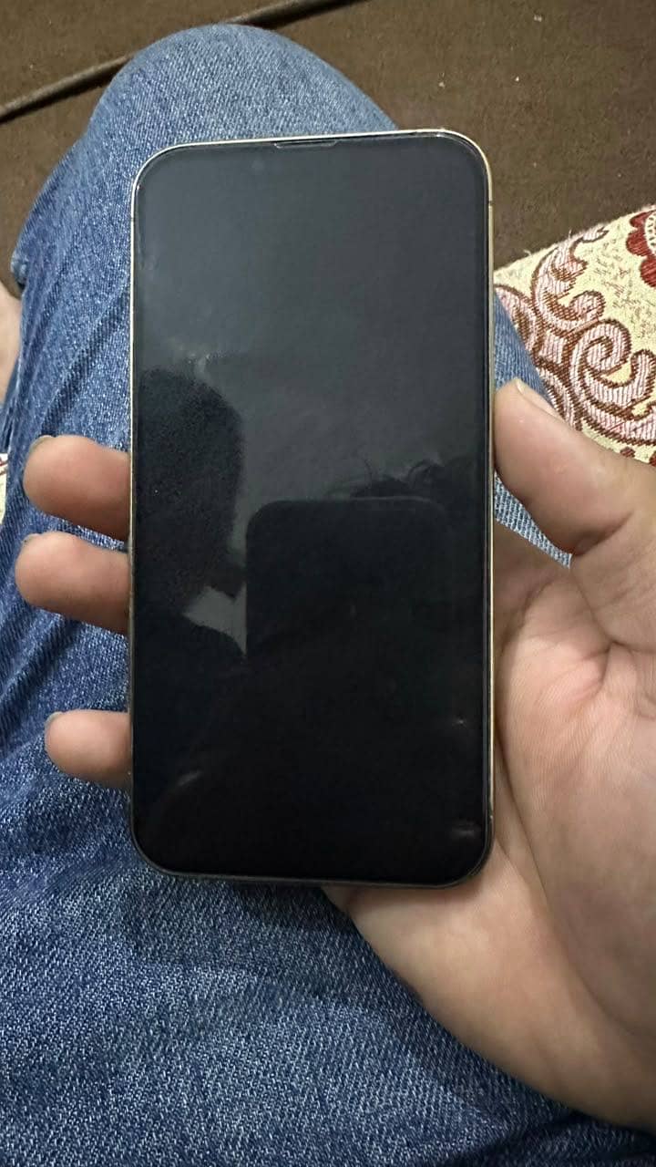 Apple iPhone 13 Pro 3
