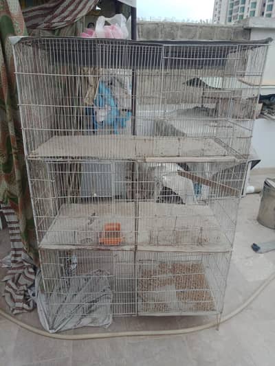 bird cage