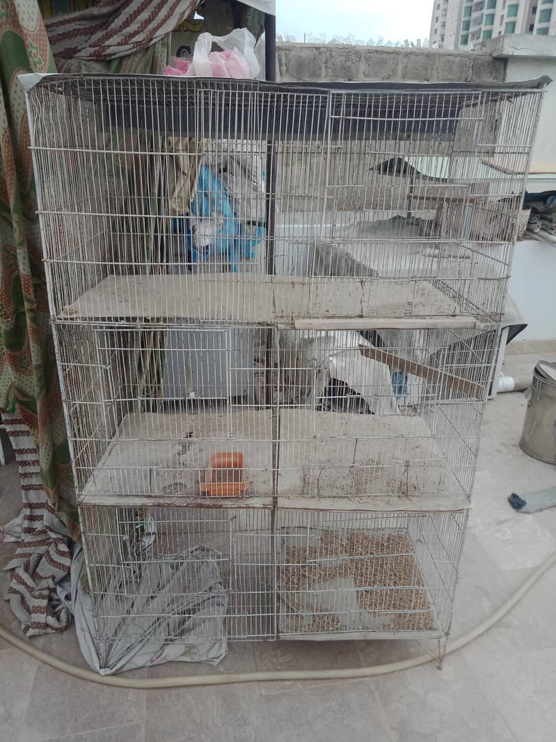 bird cage 0