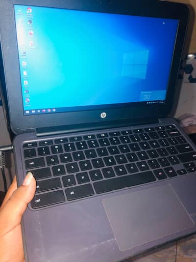 HP ChromeBook