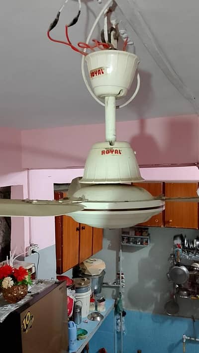 Royal A/C D/C fan