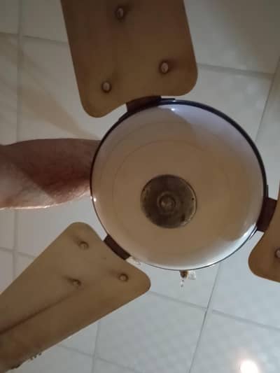 ceiling fan Chalo halat bilkul thek