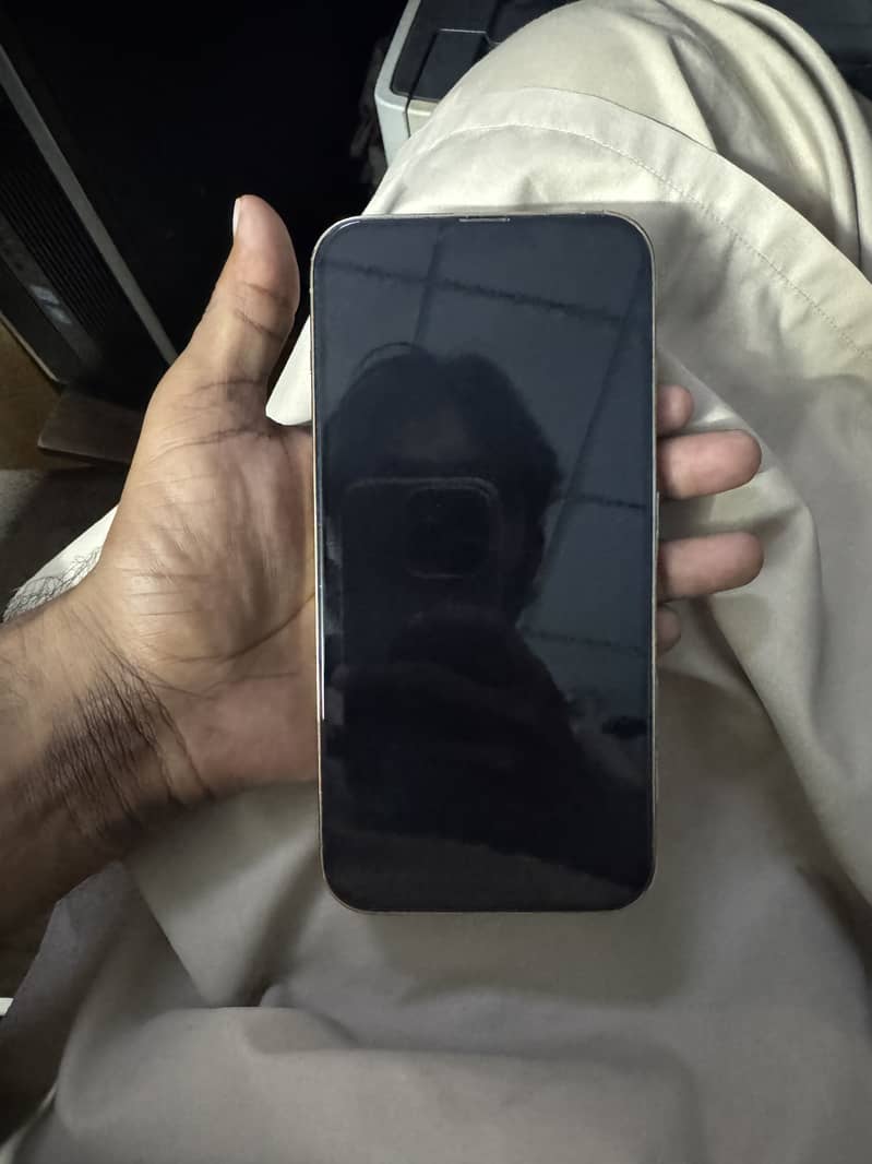 Apple iPhone 13 Pro Max 0