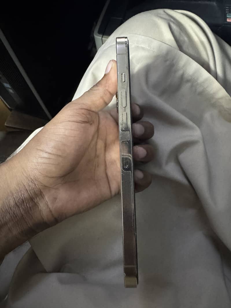Apple iPhone 13 Pro Max 4