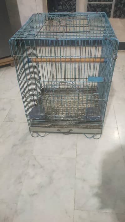 fancy cages for exotic oarrots