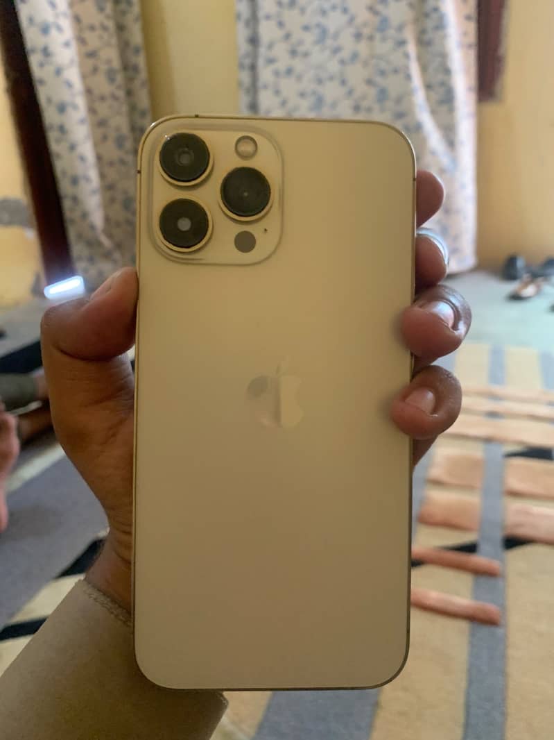 Apple iPhone 13 Pro Max 0