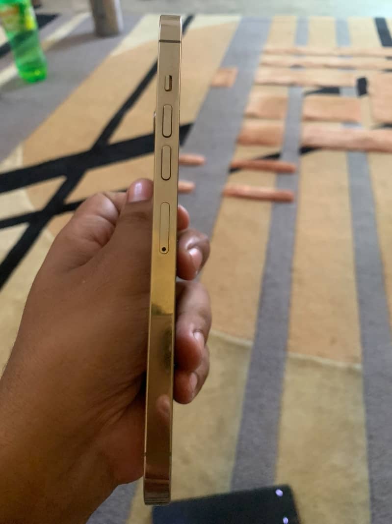Apple iPhone 13 Pro Max 2