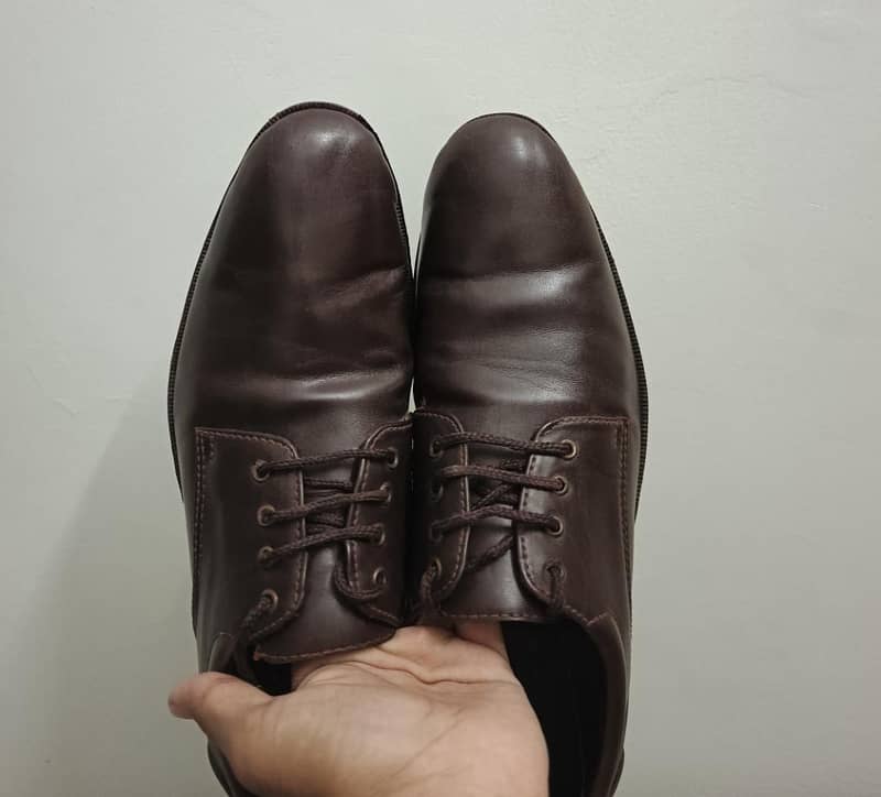 Brown Shoes 1
