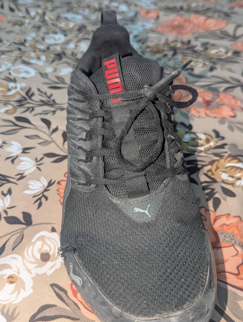 Puma voltaic evo 3