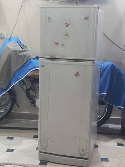 Dawlance freeze for sall saze midim