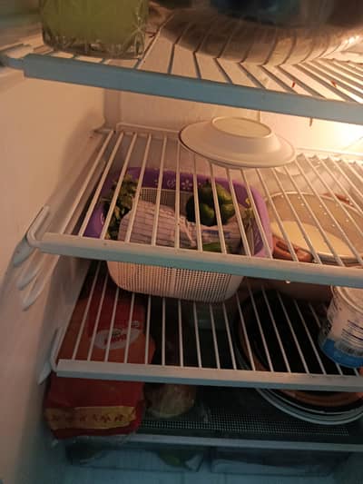 small fridge double door. great condition
