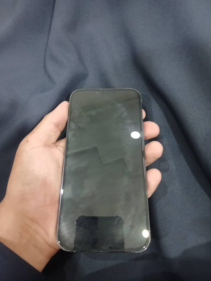 Apple iPhone 13 Pro Max 1