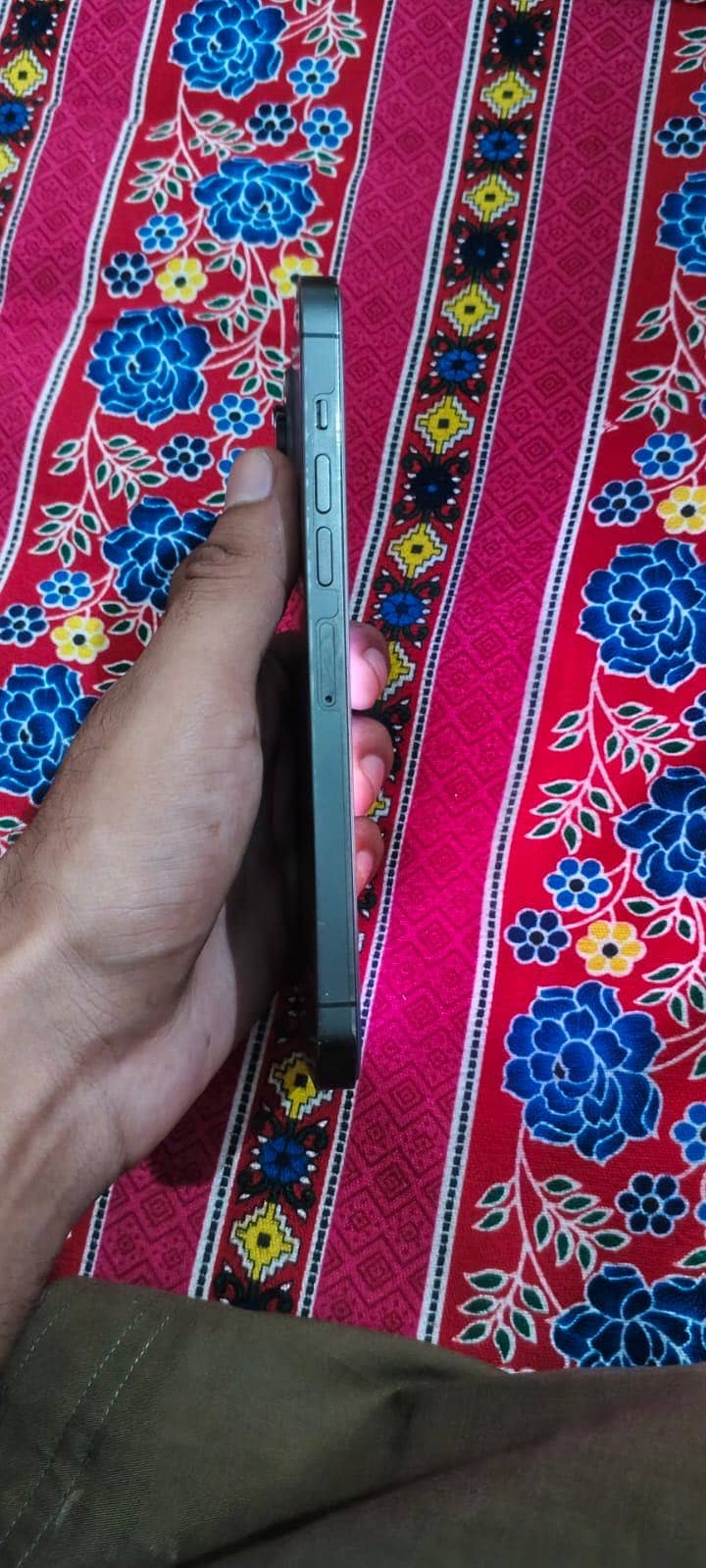 Apple iPhone 13 Pro Max 3