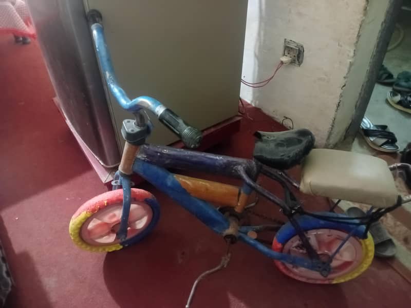 children cycle 0