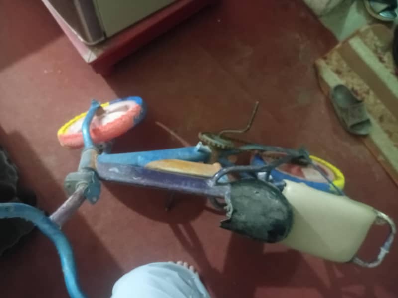 children cycle 1