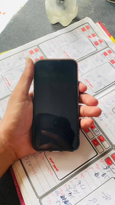 Apple iPhone 13 Pro
