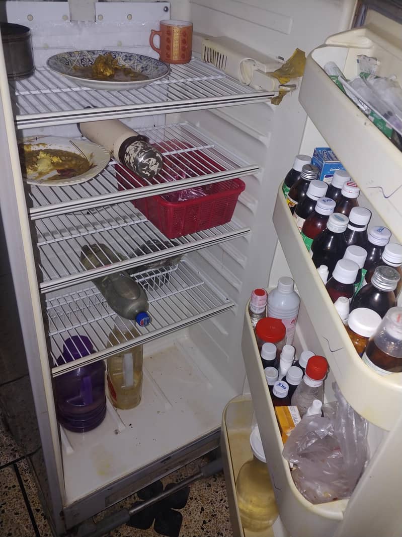 refrigerator 1