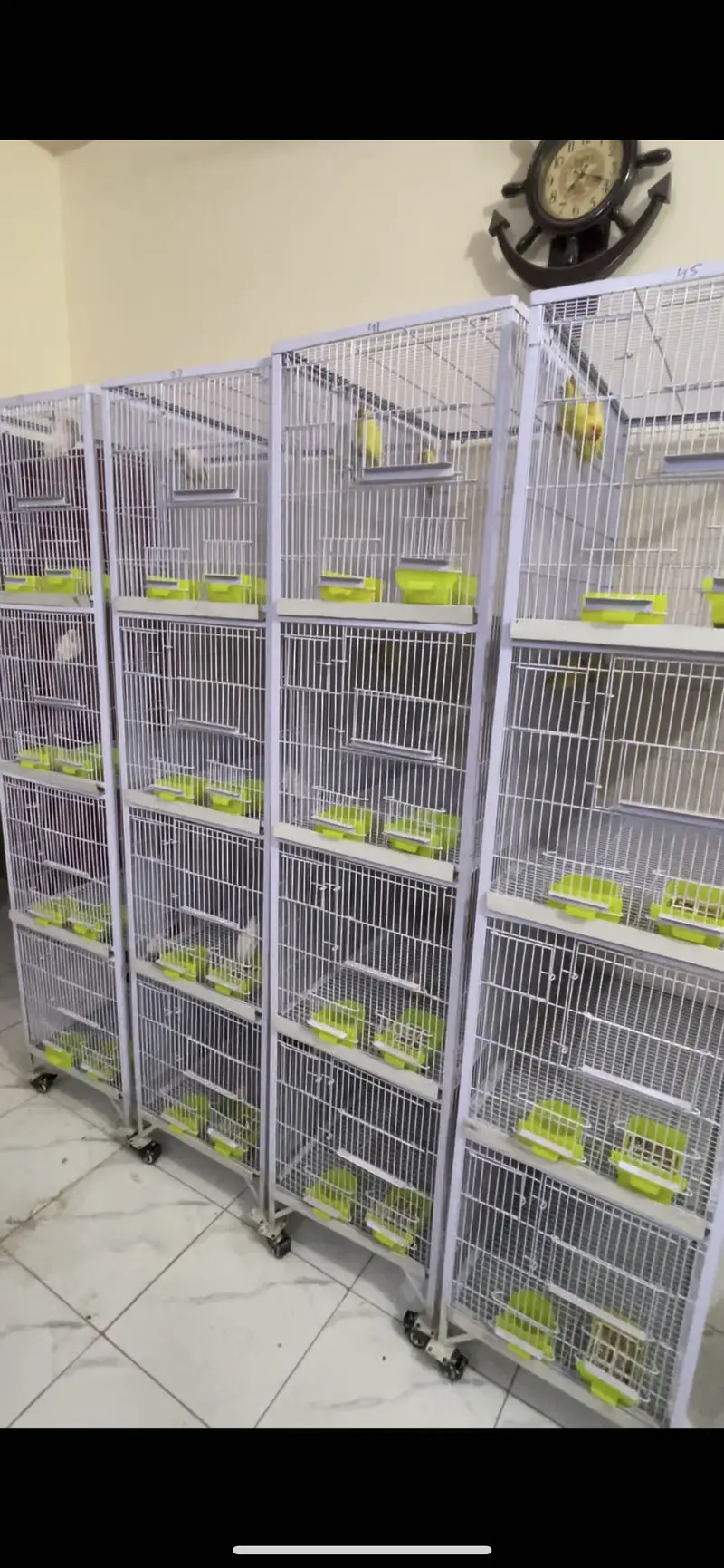 Birds Cages for Sale 4 portion