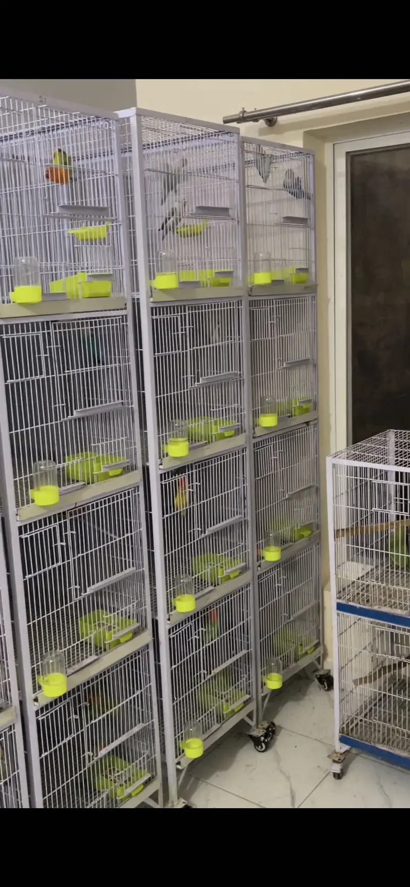 Birds Cages for Sale 4 portion — photo 2