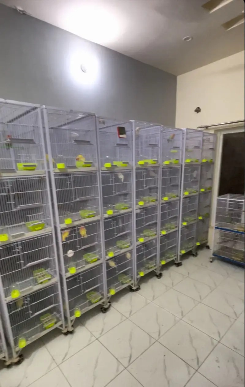 Birds Cages for Sale 4 portion — photo 3