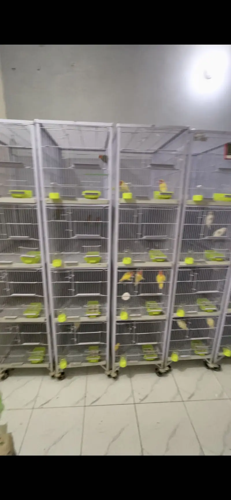 Birds Cages for Sale 4 portion — photo 4