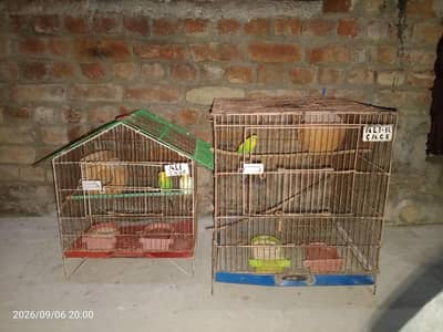 second hand cages