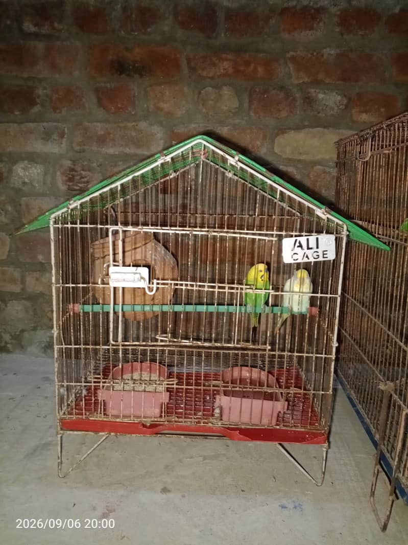 second hand cages 1