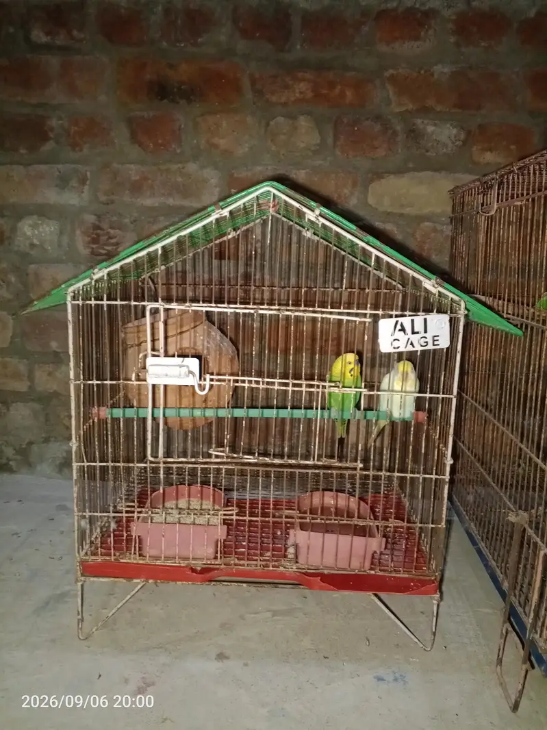 second hand cages — photo 2