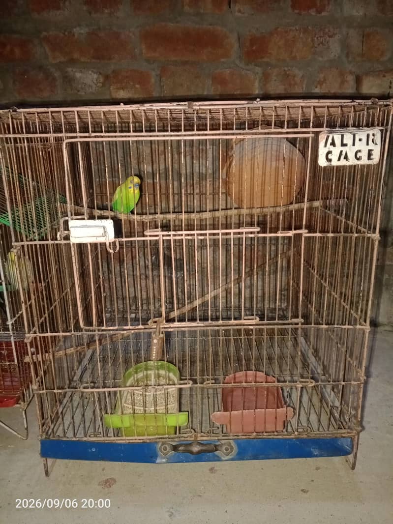 second hand cages 2