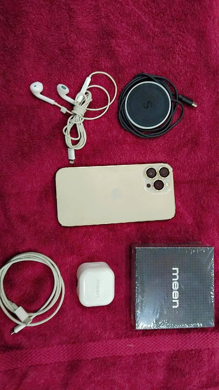 Apple iPhone 13 Pro Max 1