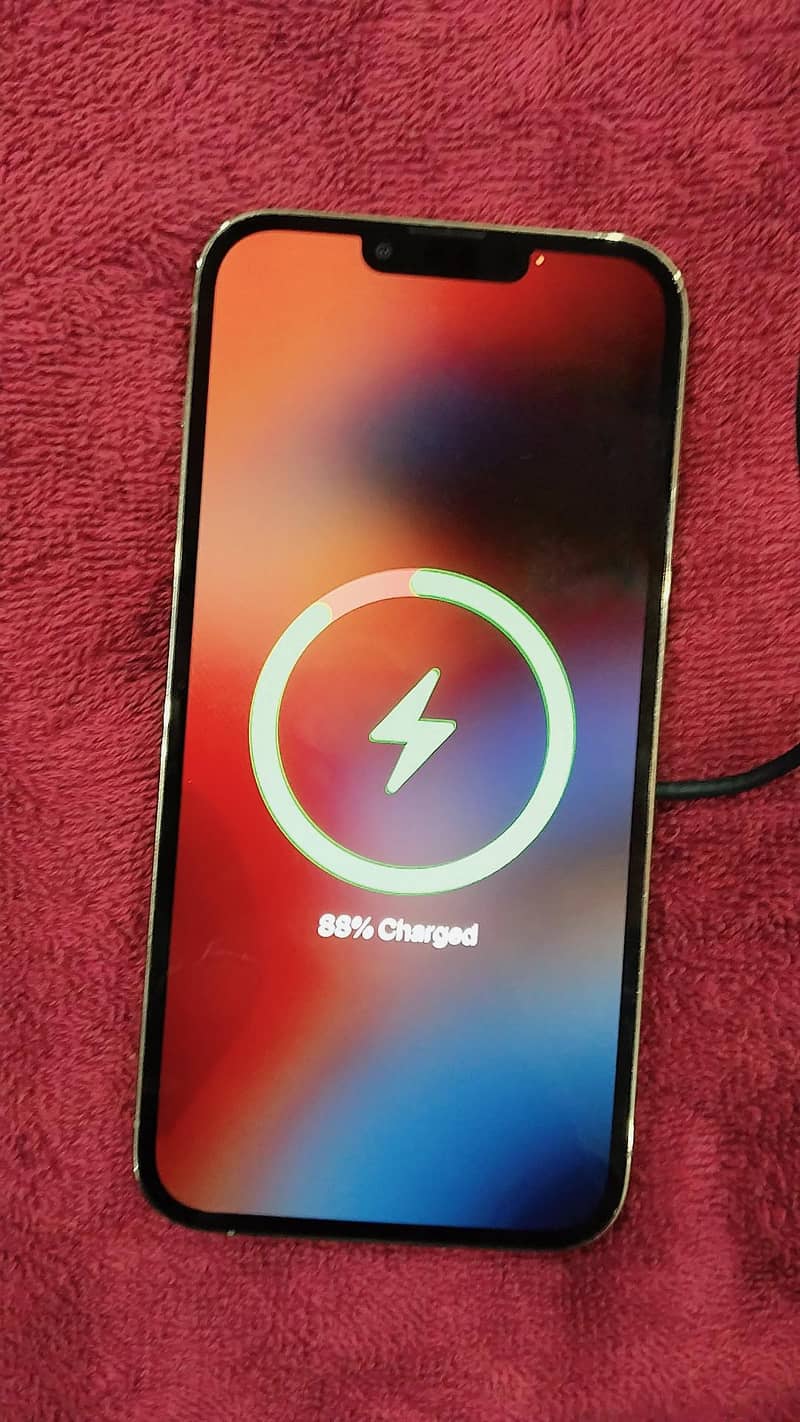 Apple iPhone 13 Pro Max 10