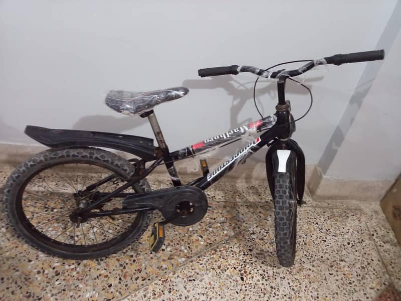 20 size cycle 2