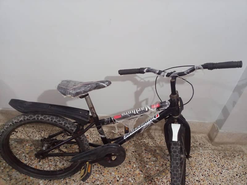 20 size cycle 3