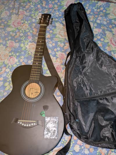 Semi Acoustic Guitar