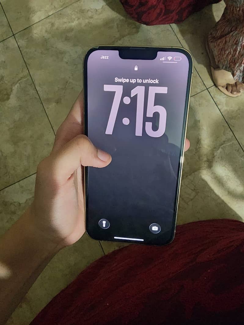 Apple iPhone 13 Pro Max 4