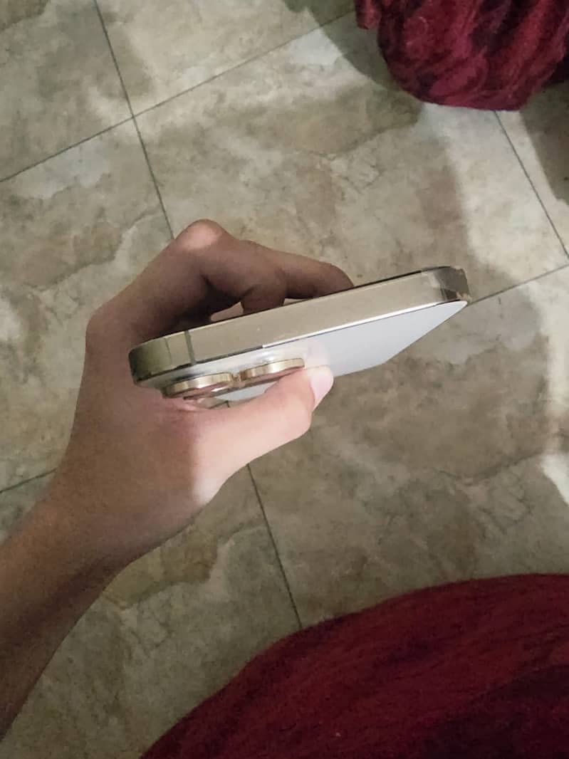 Apple iPhone 13 Pro Max 6