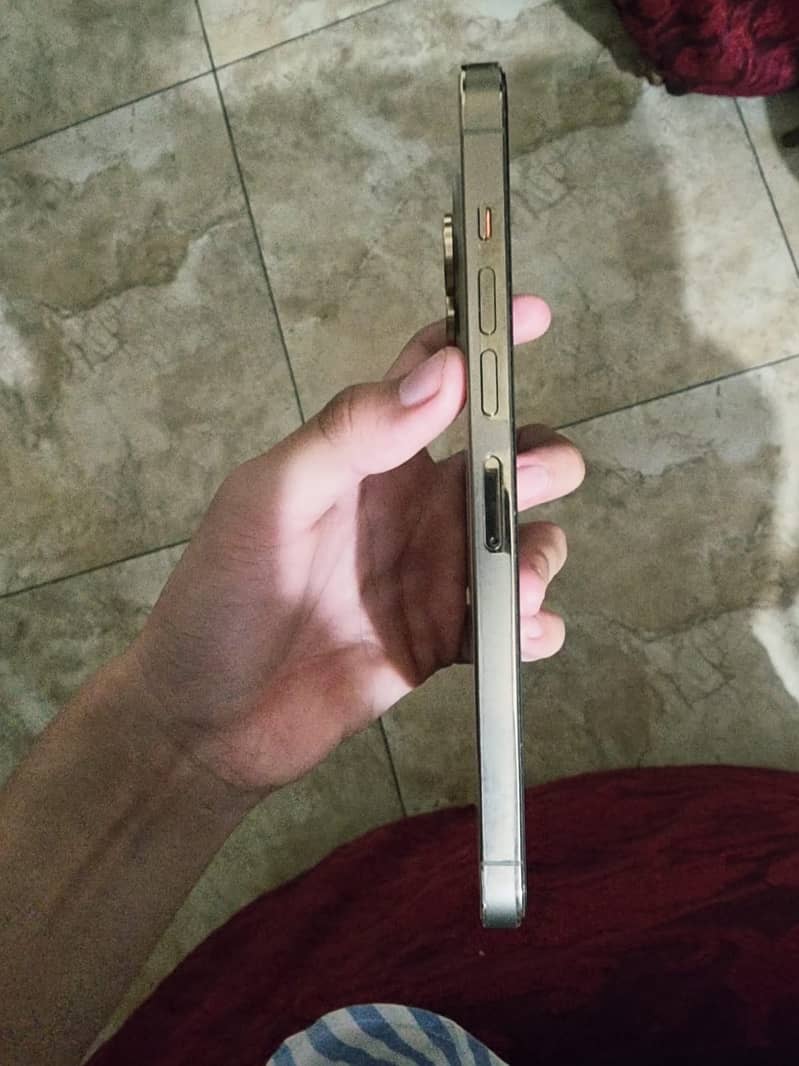 Apple iPhone 13 Pro Max 8