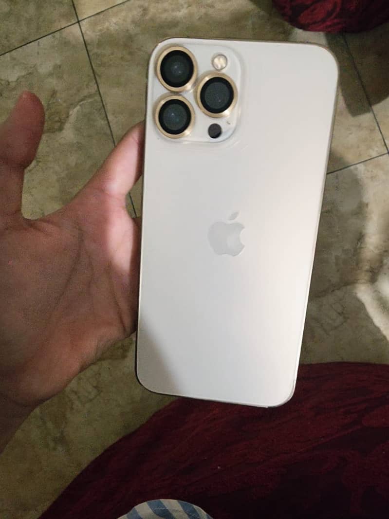 Apple iPhone 13 Pro Max 9