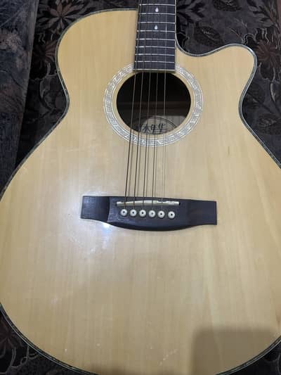 Semi Acoustic Guitar