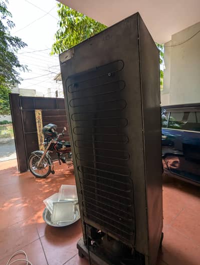 hair freezer