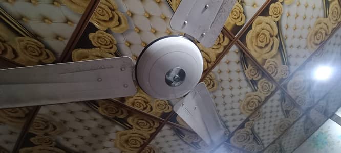 GFC ceeling Fan