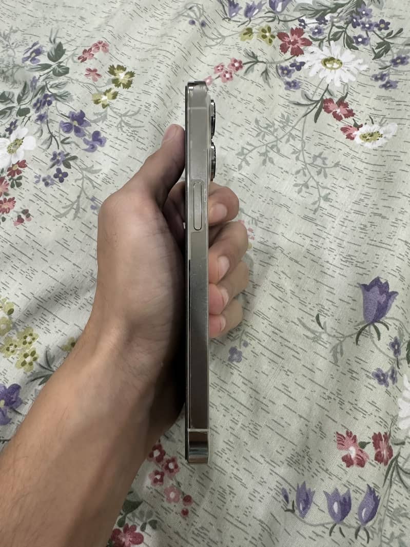 Apple iPhone 13 Pro 4